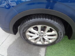 Renault Kadjar  1.5 blue dci Business 115cv edc pieno
