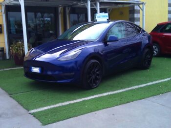 Tesla Model Y  Long Range Dual Motor awd