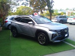 Hyundai Tucson III 1.6 crdi 48V Business 2wd dct pieno